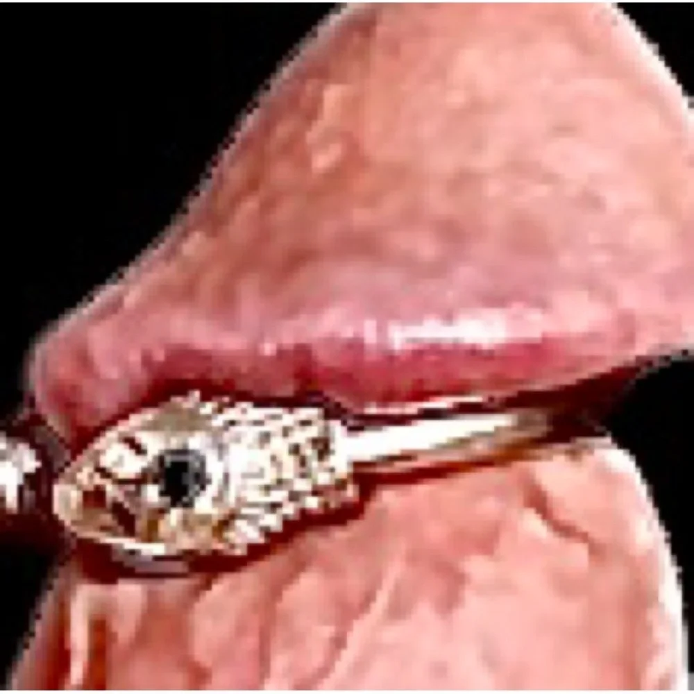 Men’s Stainless Steel Snake glans ring - Picture 7 of 7